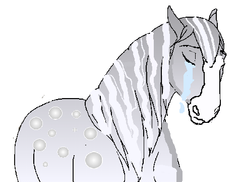  ✿ My entry✿ 