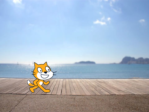 Crazy Cat