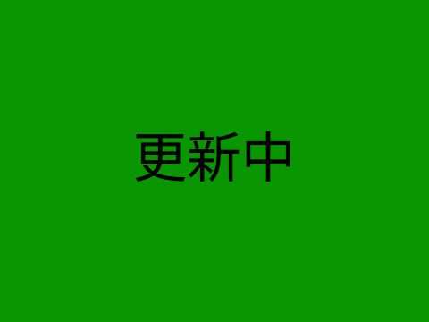 仮想国家