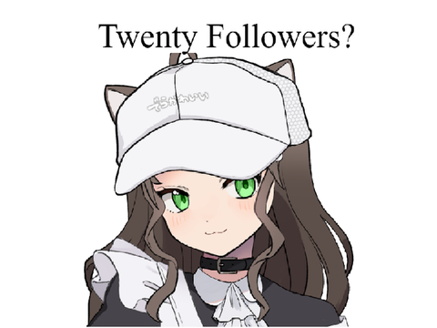 20 Follower special