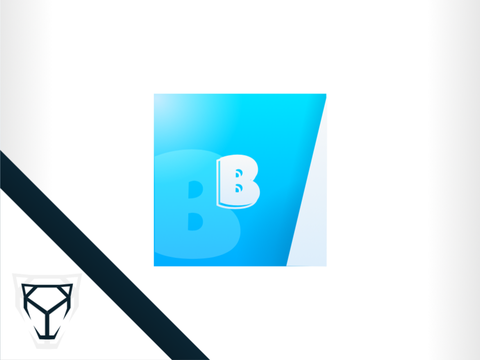 BuilderSteve Branding