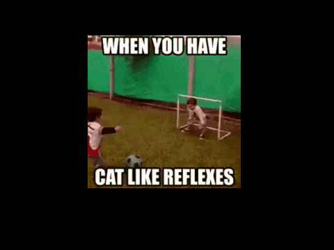 when u have cat like