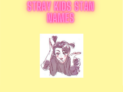 Stray Kids Stan Names