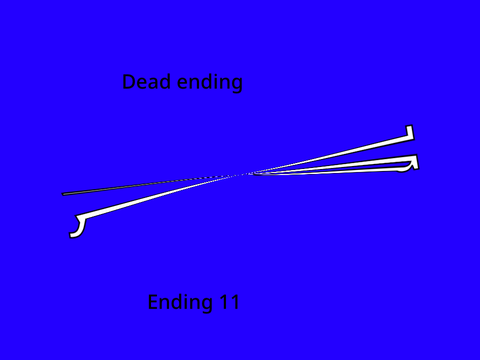 Pet Rock butgod as an ending game(10)