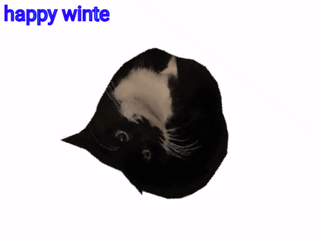 Maxwell Cat (3D VIEW) remix
