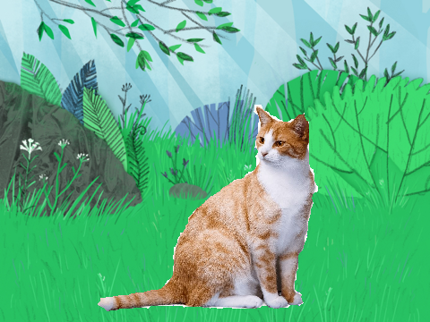 random oc cat