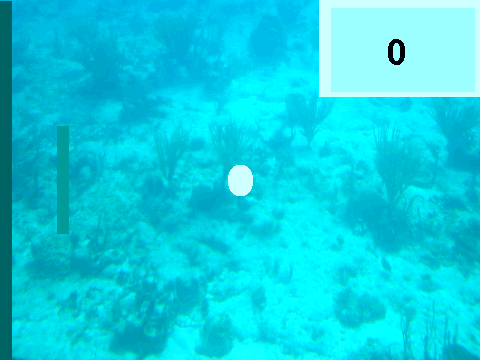 pong 7