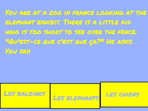 FLT 6- Animals 