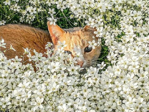 ˑ༄ؘ  ⁰⁰² : ˢᵐᵒˡˡ ᵃʳᵗ ᵈᵘᵐᵖ ! ۪۪۫۫ ༄ؘ ˑ