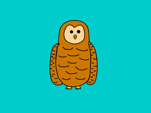 Random Barn Owl (animation)