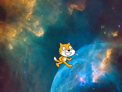 Cat go's every where