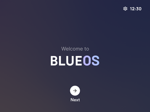 Blue OS VIII - Setup Revamp