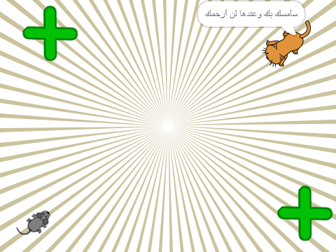 لعبة القط والفأرة