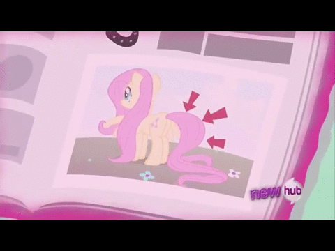 MLP Fluttershy Has Tail Extentions