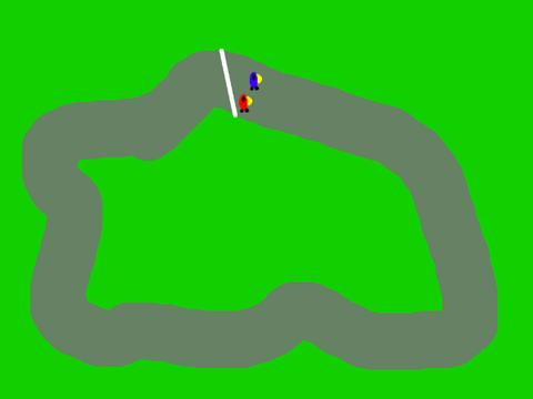bird racing beta