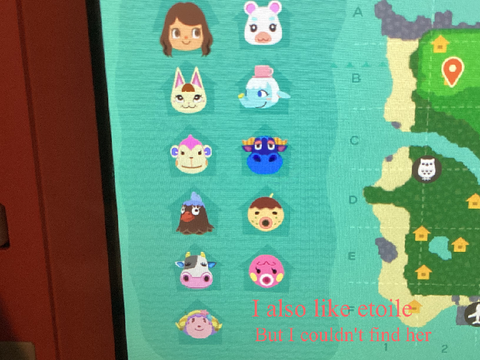 Should I do more animal crossing?