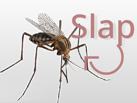 Slap the Mosquito