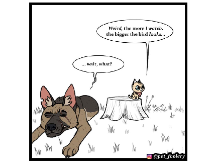 read the instructions for the reasons