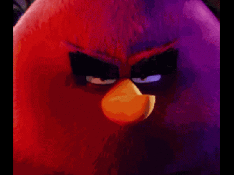 The red big bird