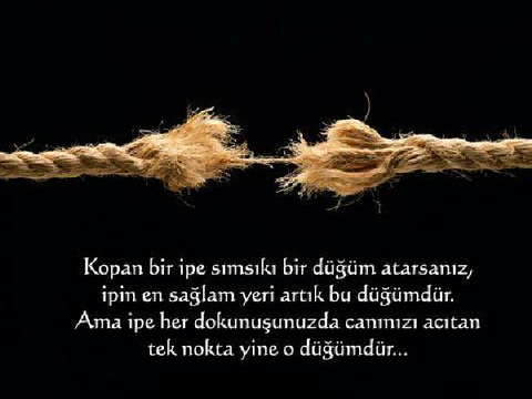 Ne Diyeceğimi Bilmiyorum