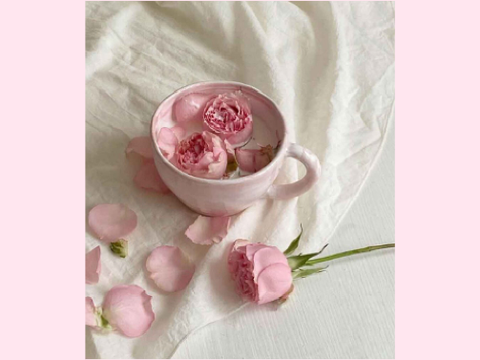 Roses_Aesthetic4