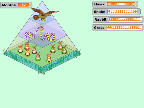 Food Chain Simulator