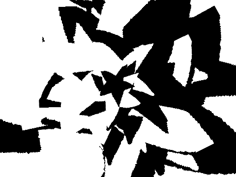 Black and White Star Spinner 