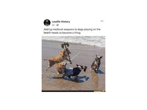 Random Memes