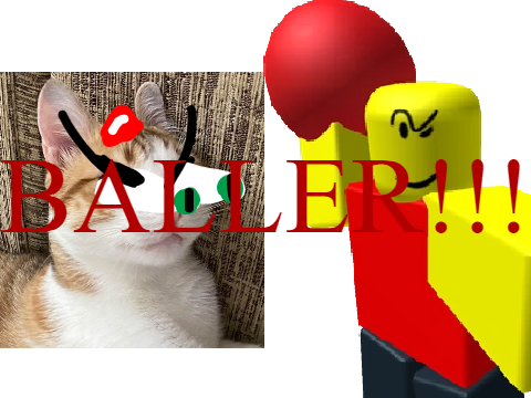 STOP POSTING ABOUT BALLER!!! (My Icon)