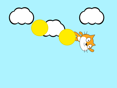 Coin Cat Fly