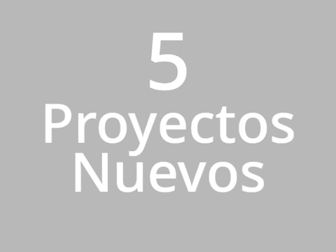 Cuantos meses han sido?