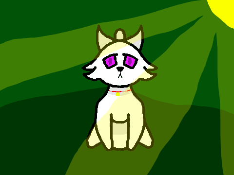 CC entry