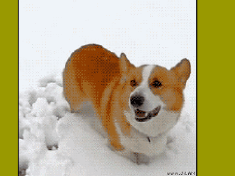 Eating snow (hooray)