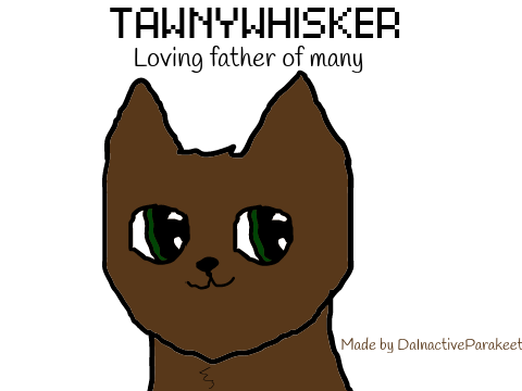 Tawnywhisker (An OC)