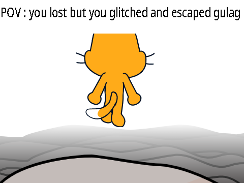 COD meme