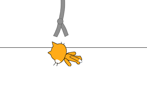 bonk