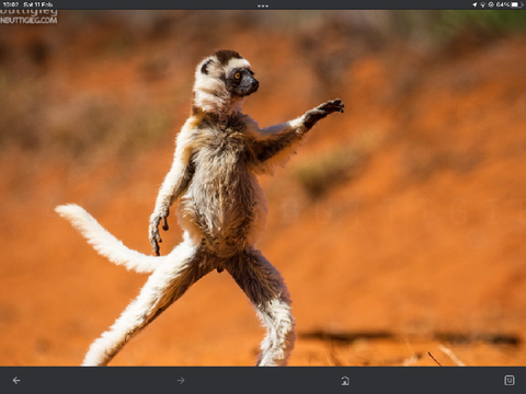 How I dance