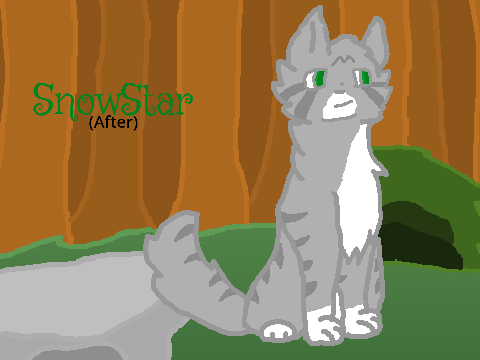 My OC's if they had realistic cat genetics