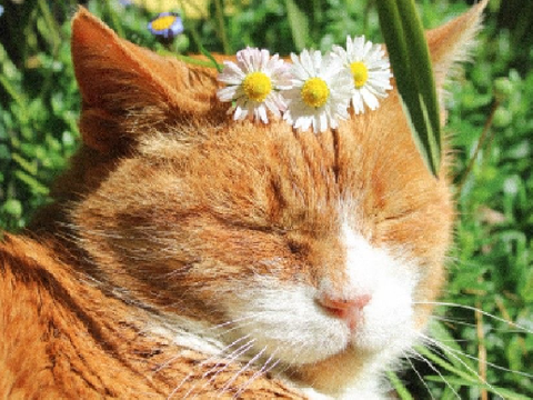⁰⁰³ : ᵗʰᶦˢ ᶦˢ ʷʰᵃᵗ ᶠᵃˡˡᶦⁿᵍ ᶦⁿ ˡᵒᵛᵉ ᶠᵉᵉˡˢ ˡᶦᵏᵉ <³ [ forever wip ]