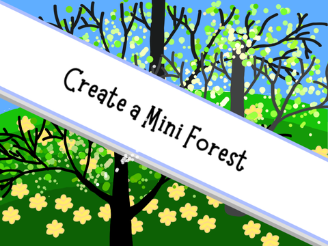 Create A Mini-Forest!