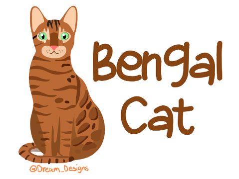 Dream Designs Order: Bengal Cat