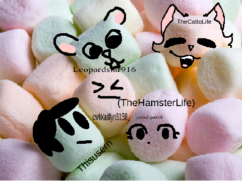 Add yourself as a marshmallow... remix remix remix remix