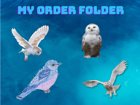 My Order Folder