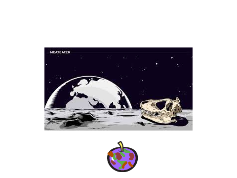 When an apple goes rotten