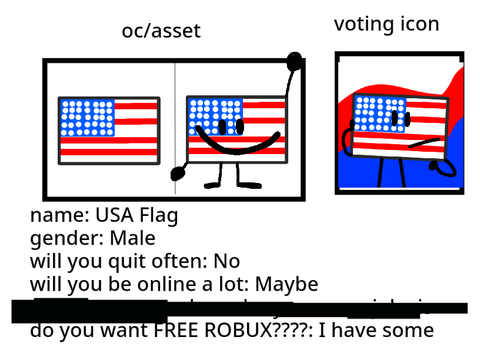 USA Flag!