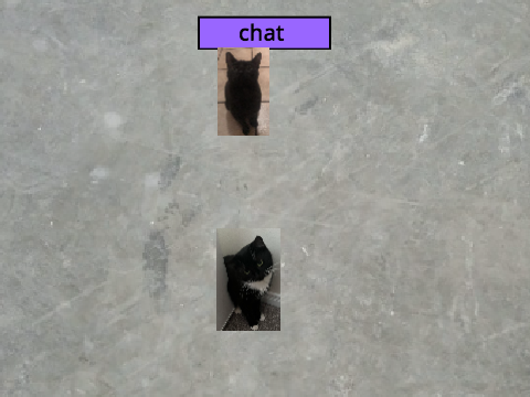 Multiplayer Cat Cloud Game  copy copy