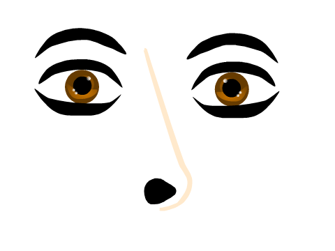 Vector face