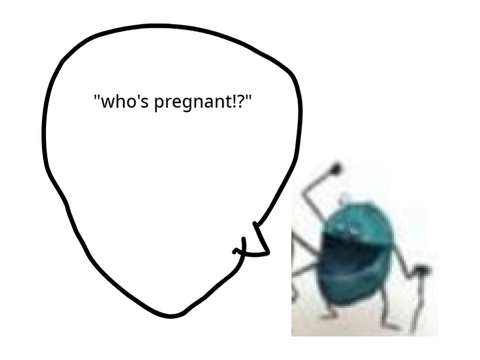 jamal