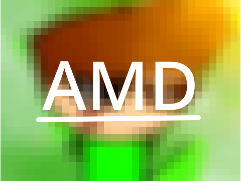 AMD PFP