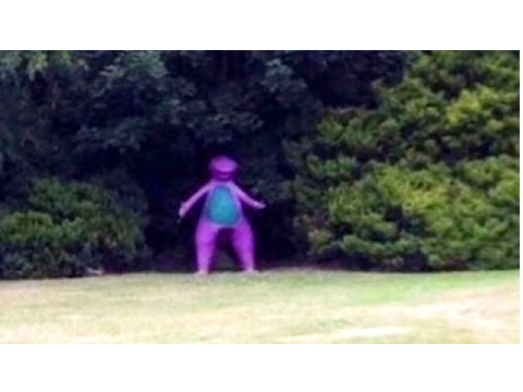 cursed images remix